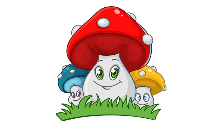 Заговор на грибы